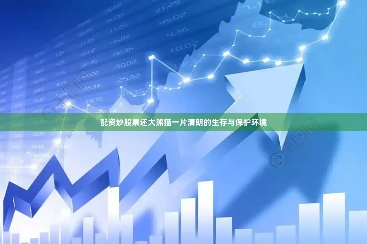 配资炒股票还大熊猫一片清朗的生存与保护环境